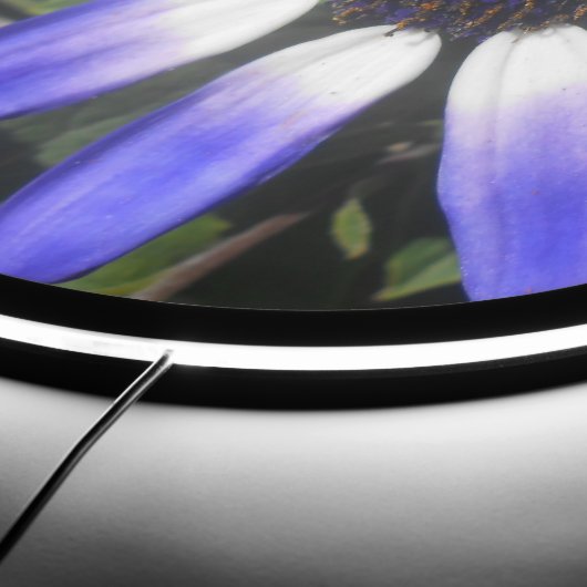 Pompeia LED Sign (Edge)