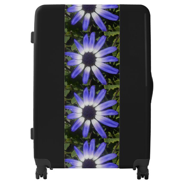 Pompeia Luggage (Front)