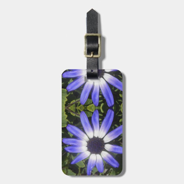 Pompeia Luggage Tag (Front Vertical)