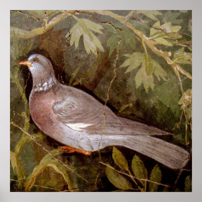 POMPEII COLLECTION / DOVE IN THE GARDEN POSTER (Front)