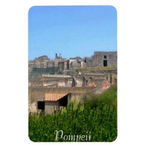 Pompeii Italy Magnet