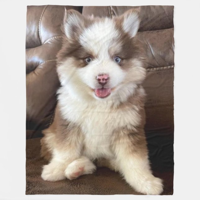 POMSKI (Pomeranian & Huskie mix) Fleece Blanket (Front)