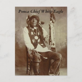 Ponca Chief White Eagle Postcard by lycheerose at Zazzle