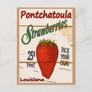 Ponchatoula Strawberries Card