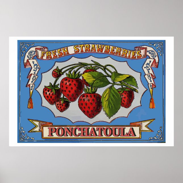 Ponchatoula Strawberries, LA Poster (Front)