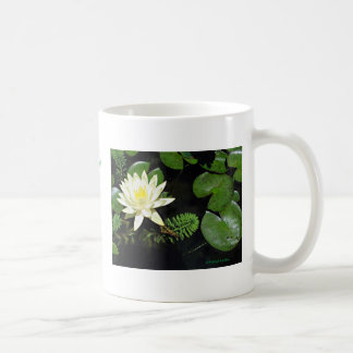 Pond Beauty Coffee Mug