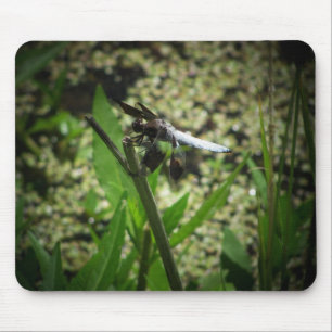 Pond Dragon Mouse Pad