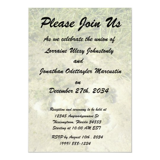 Pond grass and sand background card