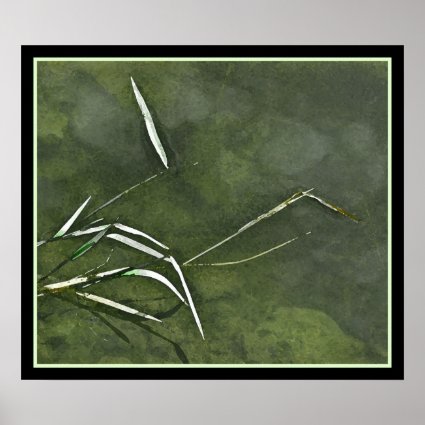 Pond Grass Poster