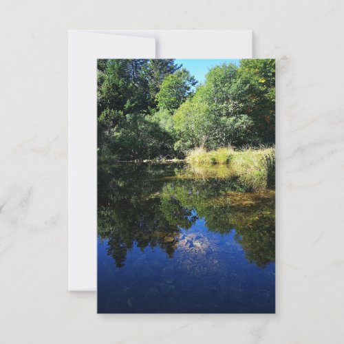 pond in the forest  card