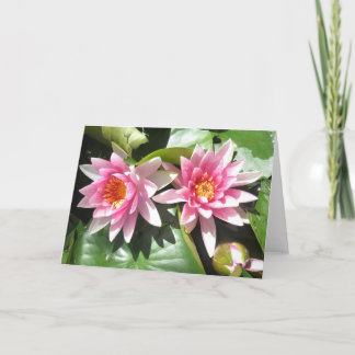Pond Lillies Notecard