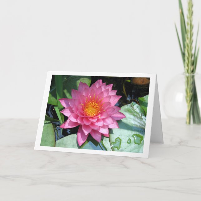 Pond lily card (Front)