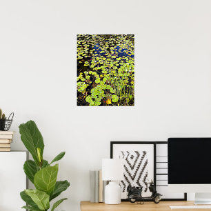 Pond Lily Pads and Reeds Floral Poster