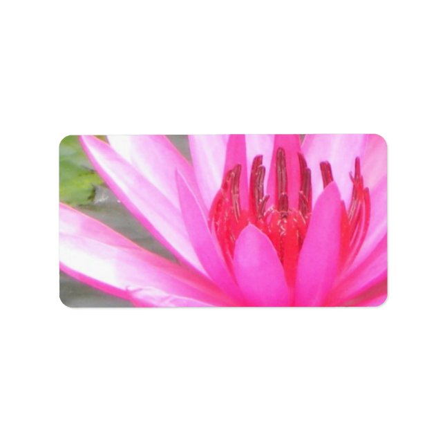 Pond Lotus Tranquility Namaste Blank Address Label (Front)
