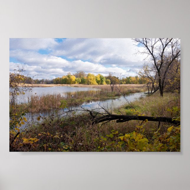 Pond Marshes and Woodlands of Wildlife Refuge Poster (Front)