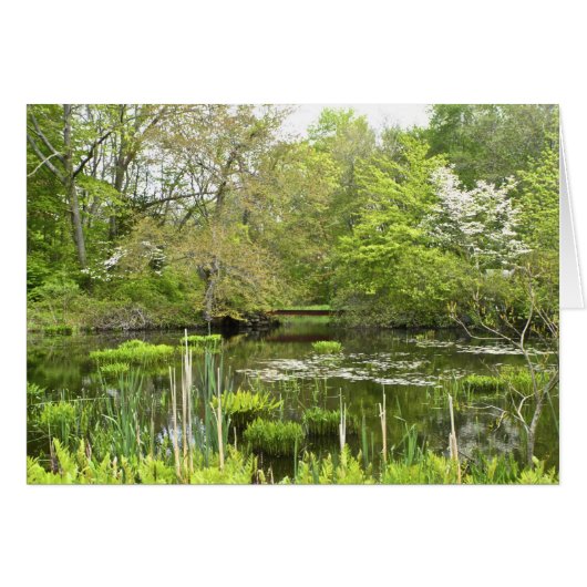 Pond Notecard (Front Horizontal)