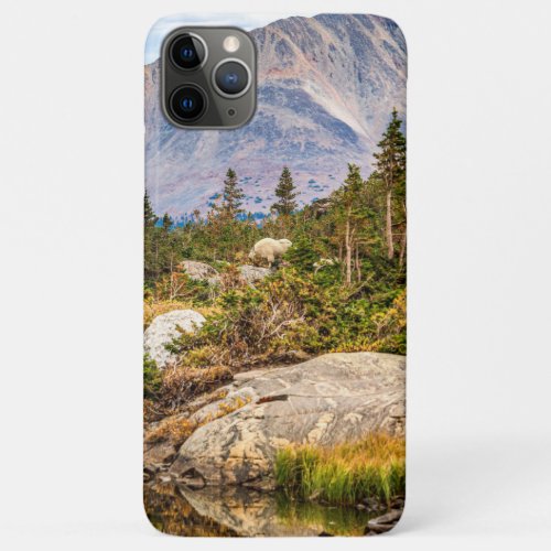 Pond on the Mountain  Rocks and Trees iPhone 11 Pro Max Case