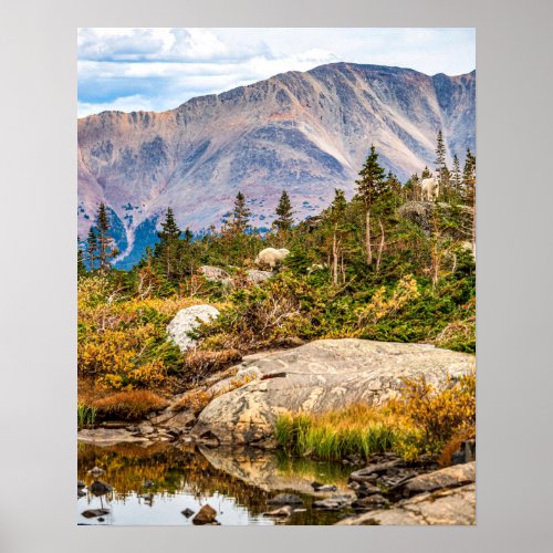 Pond on the Mountain  Rocks and Trees Poster