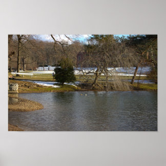 Pond Photo Poster
