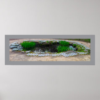 Pond Photo Poster