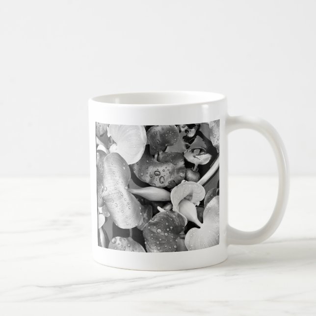Pond Plants and Black and White Coffee Mug (Right)