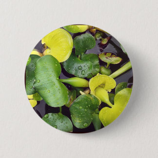 Pond Plants at the grocery store Button