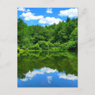 Pond Reflection Postcard