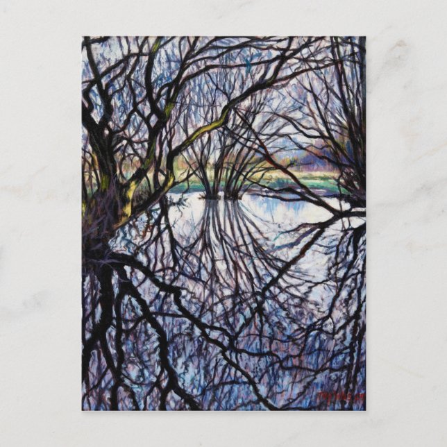 Pond Reflections 2009 Postcard (Front)