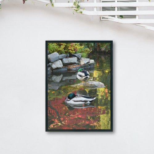 Pond Reflections and Ducks Glossy Photographic Poster