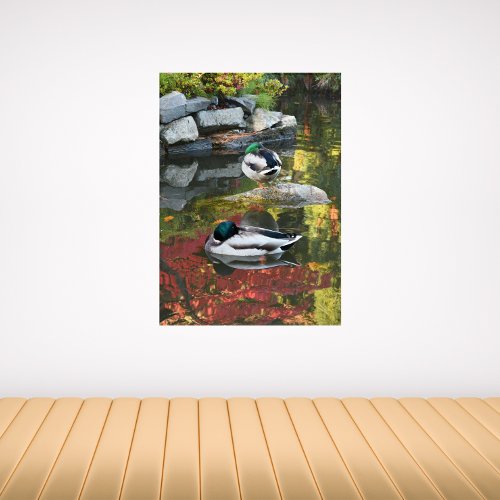 Pond Reflections and Floating Ducks Photographic Acrylic Print