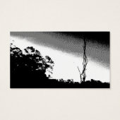 Pond Reflections in B/W (Back)