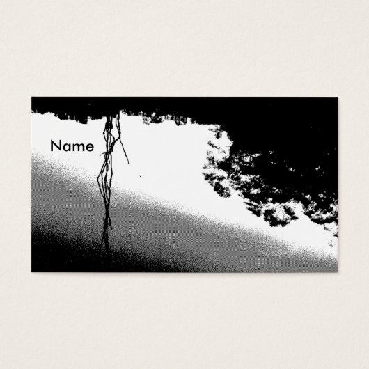 Pond Reflections in B/W (Front)