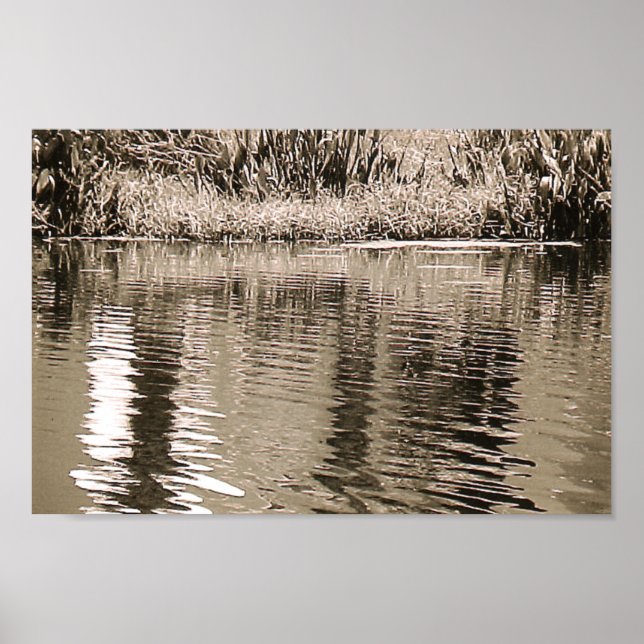 Pond Sepia Photograph Poster (Front)