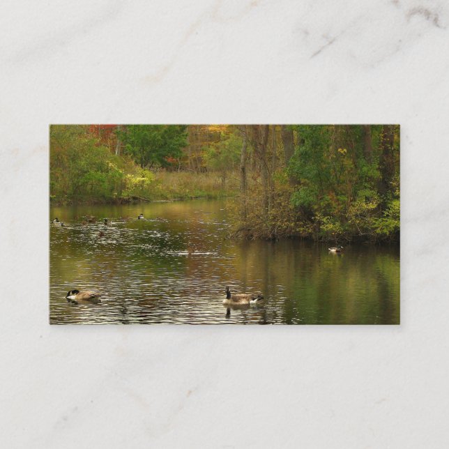 Pond Services Business Card (Front)