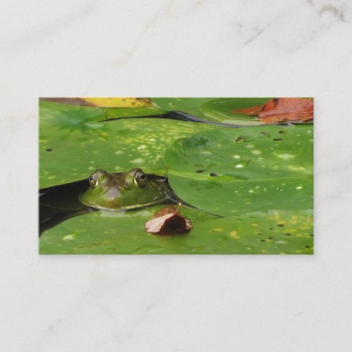Pond Services Business Card