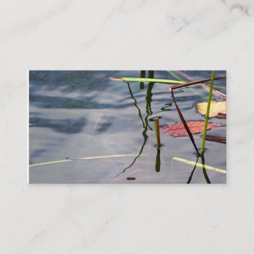 Pond Services Business Card