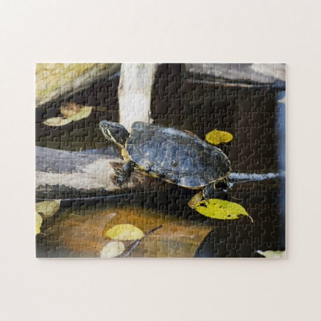 Pond slider turtle in the wild jigsaw puzzle (Horizontal)