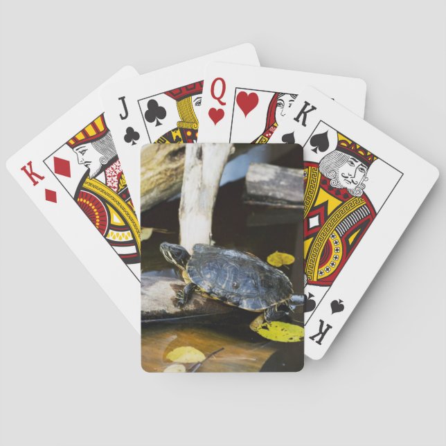 Pond slider turtle in the wild poker cards (Back)