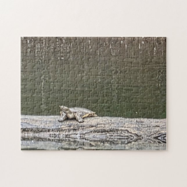 Pond Turtle Jigsaw Puzzle (Horizontal)