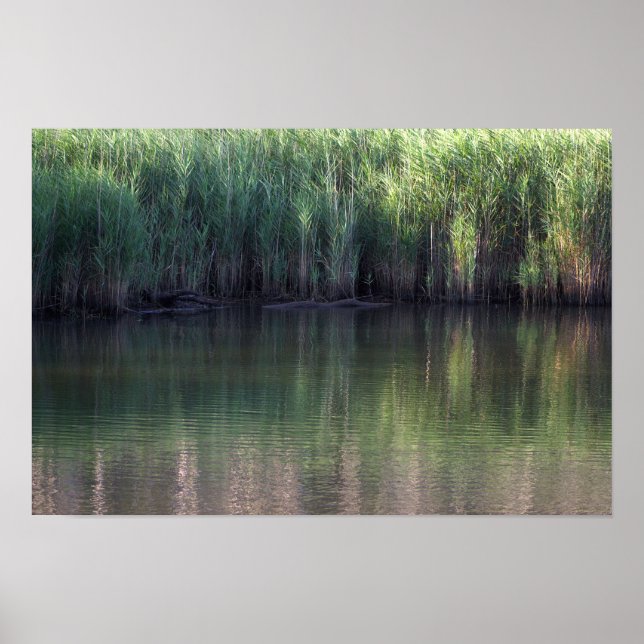 Pond Waterscape Photo Poster (Front)