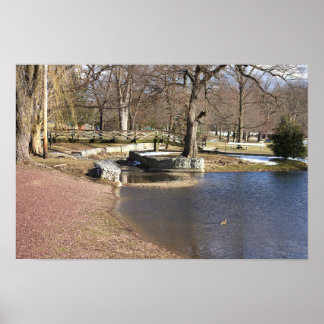 Pond Waterscape Poster