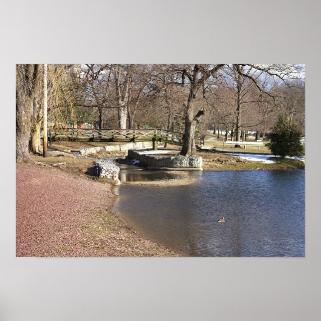 Pond Waterscape Poster (Front)