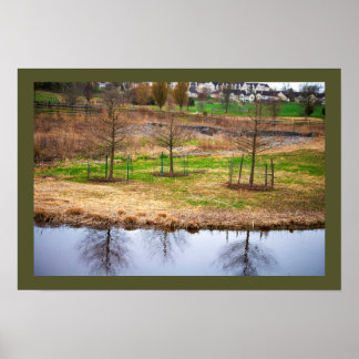 Pond Waterscape Reflections Photo Poster