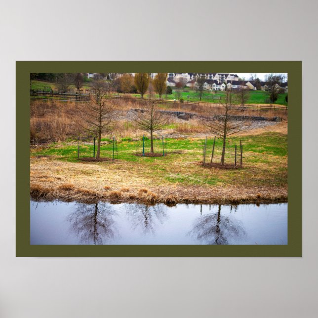 Pond Waterscape Reflections Photo Poster (Front)