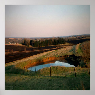 Pond With A View Poster
