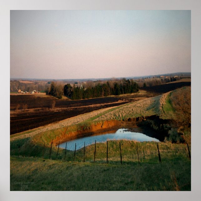 Pond With A View Poster (Front)