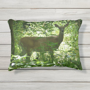 Pondering Beauty - accent pillow