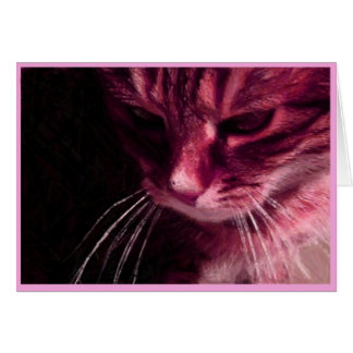 Pondering In Pink Cards