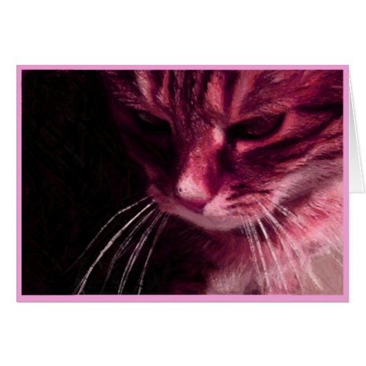 Pondering In Pink Cards (Front Horizontal)