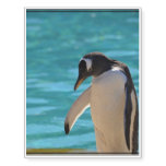Pondering Penguin Temporary Tattoos